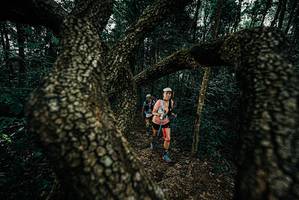 BIB: 
                            <button type="button" onclick="openModal(25686546)" class="btn btn-primary btn-sm float-right btn-popup" data-toggle="modal" data-target=".modal-high-quality">
                        <i class="fas fa-shopping-cart"></i> Add to Cart
                    </button>
                                            <button type="button" onclick="isThisMe(25686546, true)" class="btn btn-success btn-sm float-right btn-popup btn-isme hidden" data-toggle="tooltip" data-placement="bottom" title="นี่คือรูปของคุณใช่ไหม คลิกที่นี่เพื่อเอาเข้าอัลบั้ม">
                        <i class="fas fa-plus"></i> Add to album
                    </button>
                    <button type="button" onclick="isThisMe(25686546, false)" class="btn btn-warning btn-sm float-right btn-popup btn-isnotme hidden">
                        <i class="fas fa-ban"></i> Remove from album
                    </button>